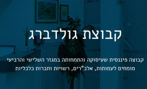 קבוצת גולדברג